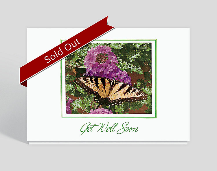 Butterfly Wishes Get Well Card