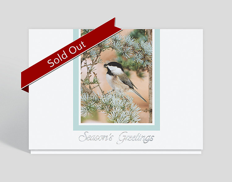 Frosted Perch Wildlife Greeting Card